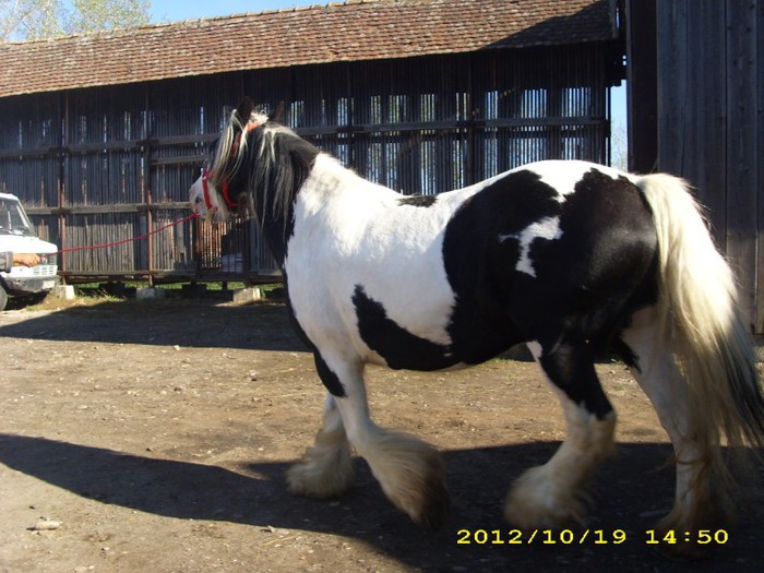 Picture 124