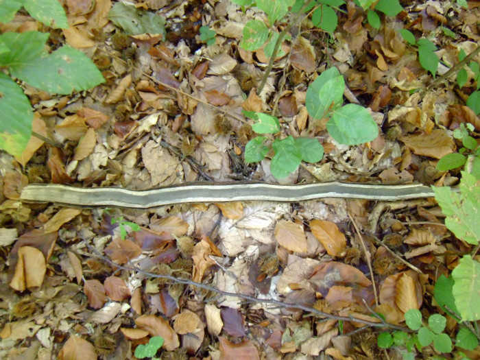 P1000316