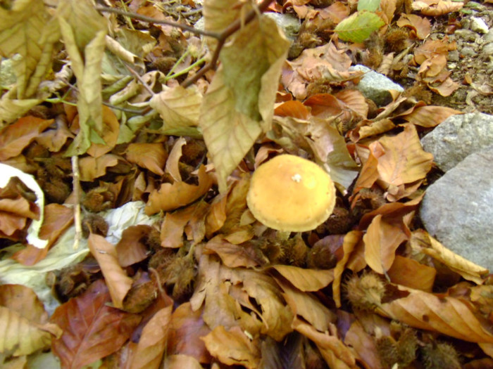 P1000318