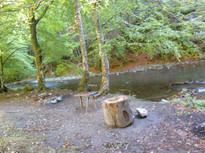 P1000324 - la plimbare toamna