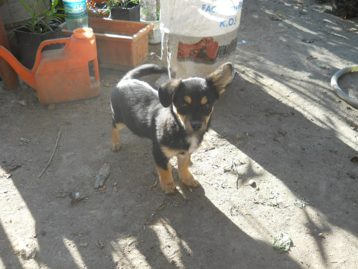 DSCN4802