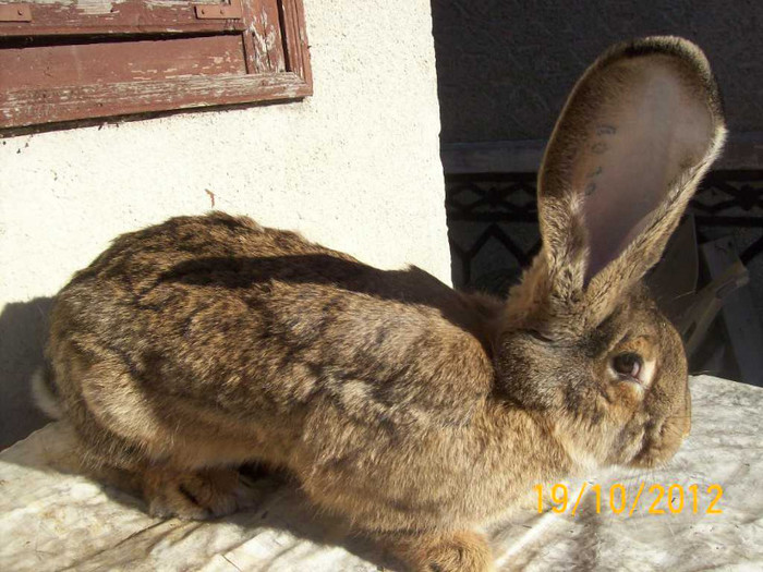 FEM DIN FEBRUARIE 2012