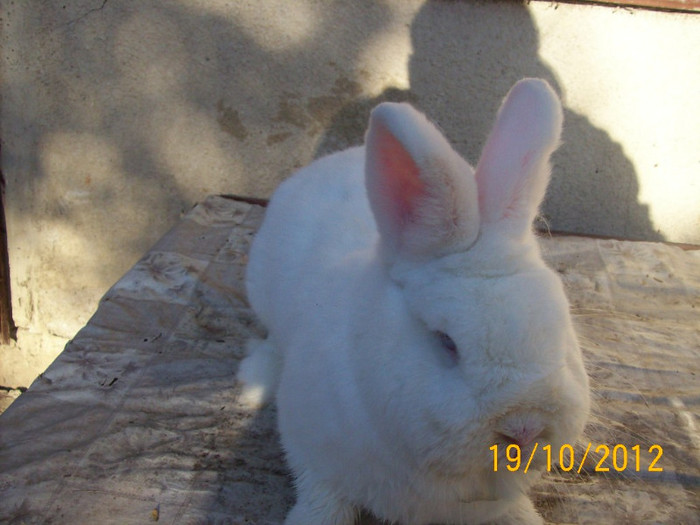 FEM 2 DIN FEBRUARIE 2012