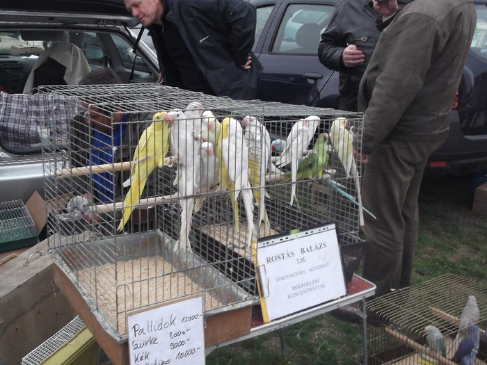 DSCF1122 - Targul de la Monor Ungaria Oct 2012