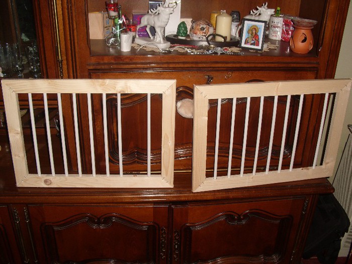 fete pt boxe porumbei 008