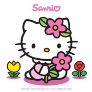 HKPWNBVVTAVZFEHEOLA - poze hello kitty