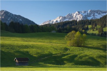 bavarian_spring_meadows_by_wingmar - poze natura