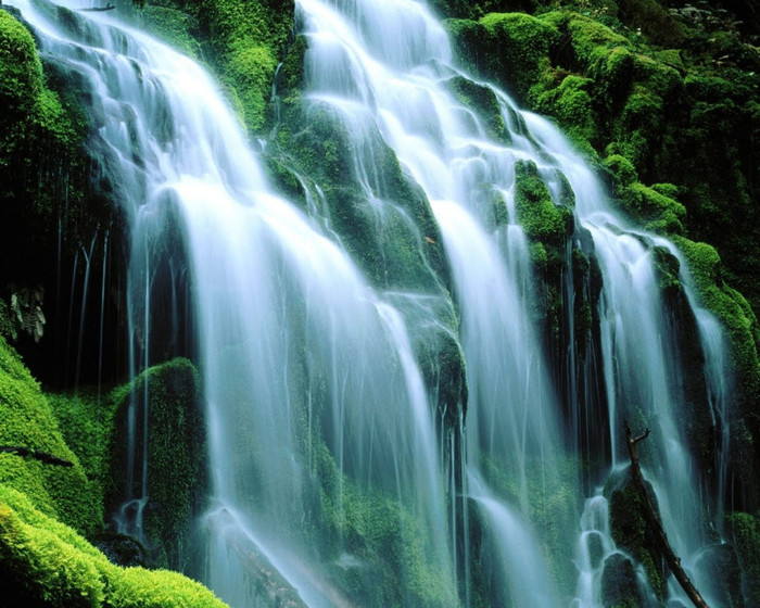 Green+Falls - poze natura