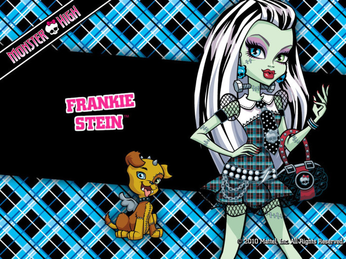 Monster-High-monster-high-15409378-737-552