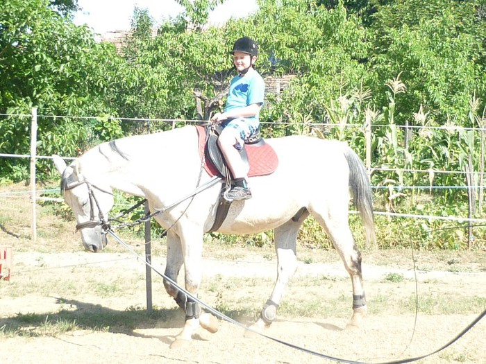 CAVALERUL "SAPCII" ROTUNDE ROBI - NEPOTII IN TIMPUL LIBER