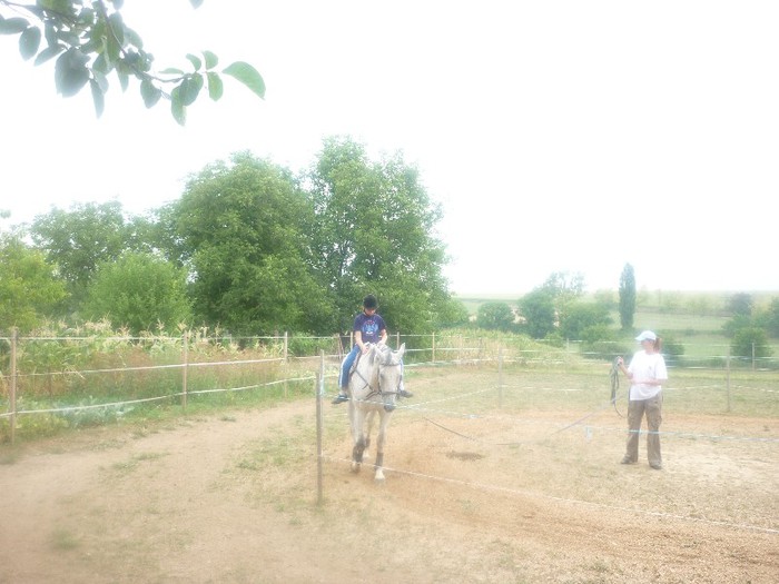 Michael Bilder 109 - NEPOTII IN TIMPUL LIBER