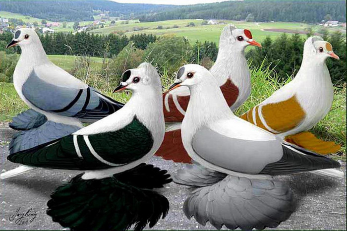 425707_10151222457894311_868530476_n