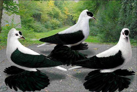 60672_10151222458614311_1505132805_n