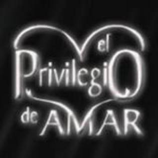 imagesCA9KKND8 - El privilegio de amar-Privilegiul de a iubi
