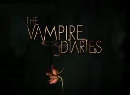 The_Vampire_Diaries_1244824719_2009 - The Vampire DiariesS