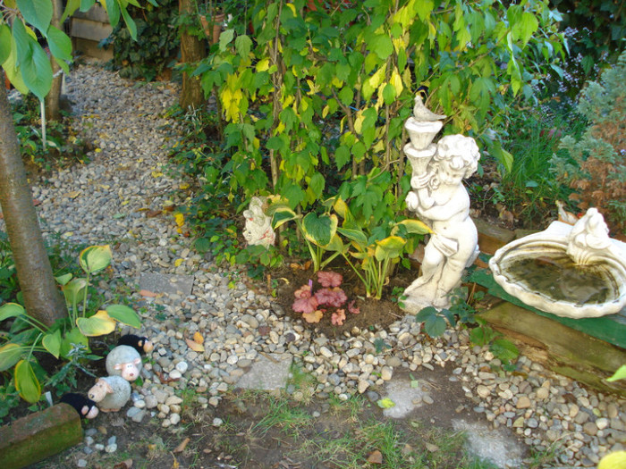 DSC09287