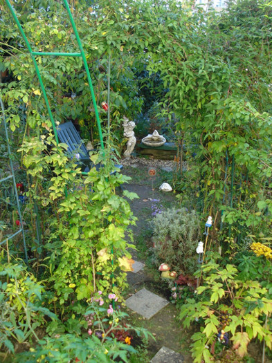DSC09361