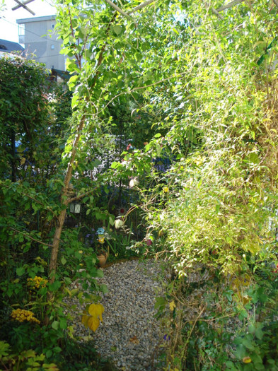 DSC09363