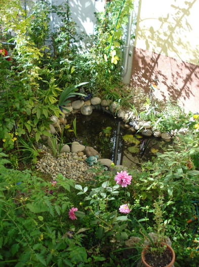 DSC09370