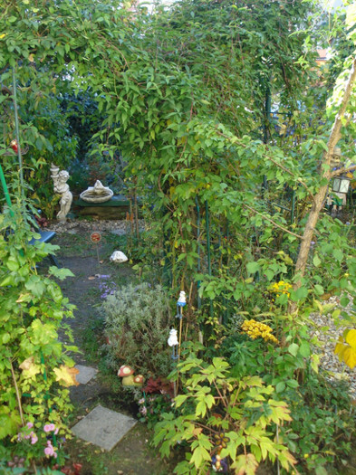 DSC09377