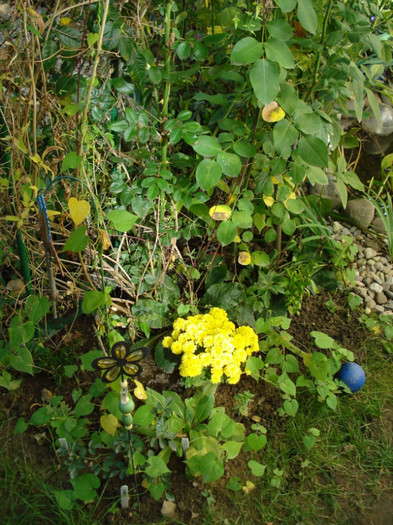 DSC09381