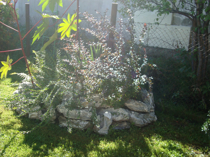 DSC03519 - FLORI