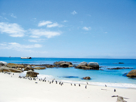 Terminase de a o consulta pe Rose.