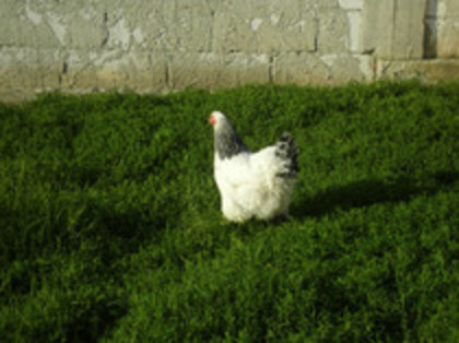 74484951_RKUUYRQ3
