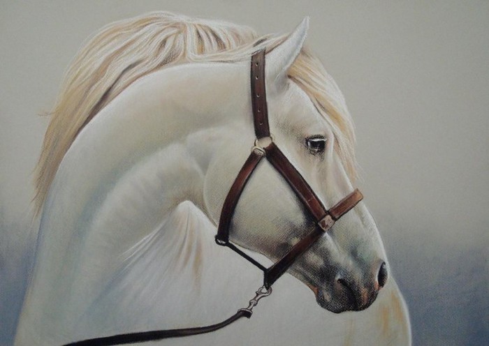 white_horse_by_pastelizator-d5egvkc - Horses