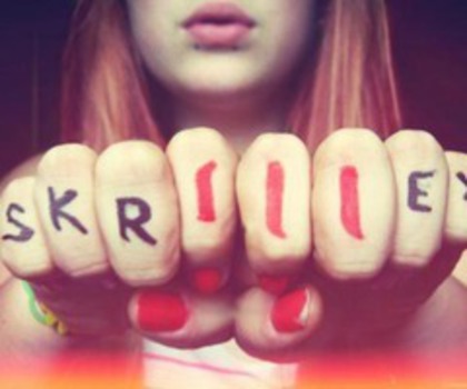 320339_438267369543023_1756179900_n_thumb