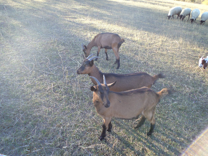 DSC01035
