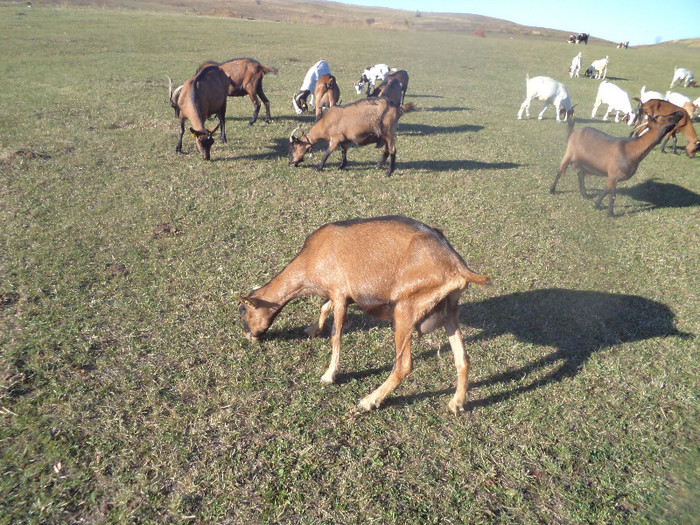 DSC01016