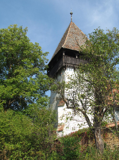 Magherus - Maniersch - Cetatile Sasesti din zona Sighisoarei