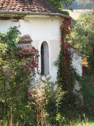 Magherus - Maniersch - Cetatile Sasesti din zona Sighisoarei