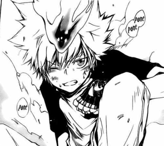 tsuna 33