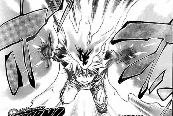 tsuna 37