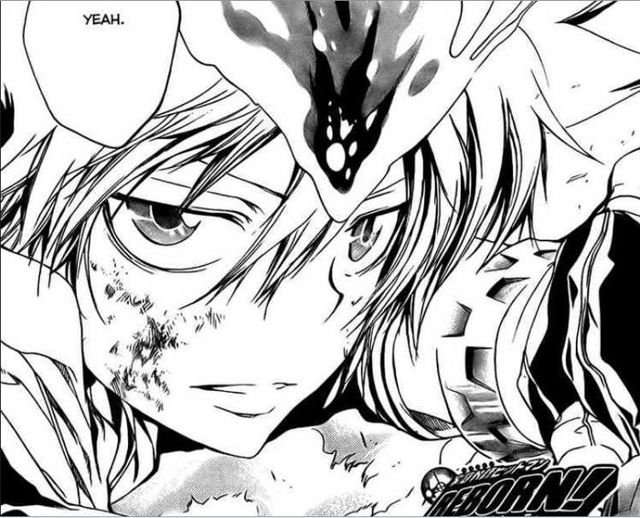 tsuna 40