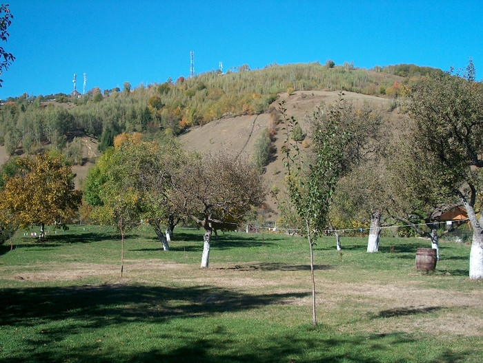 Godeanu, dealul din spatele gradinii .. - A sosit toamna la Bran-Moieciu-Octombrie 2012