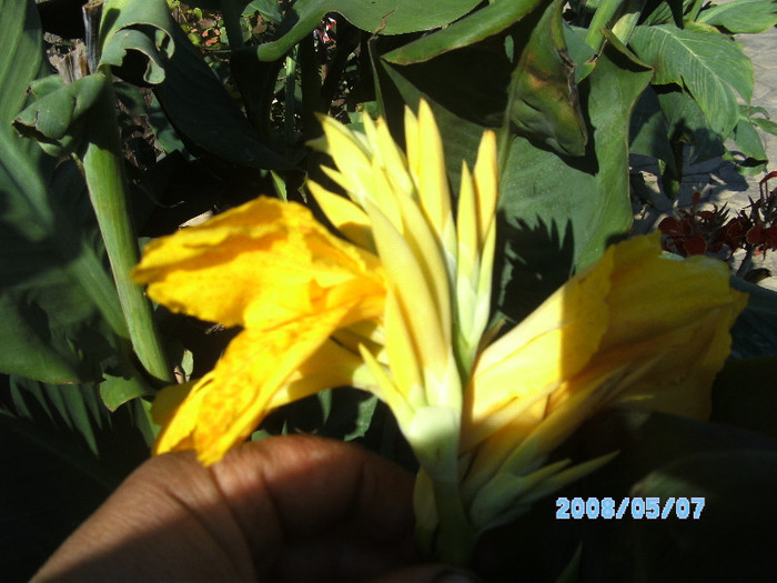 SANY0474