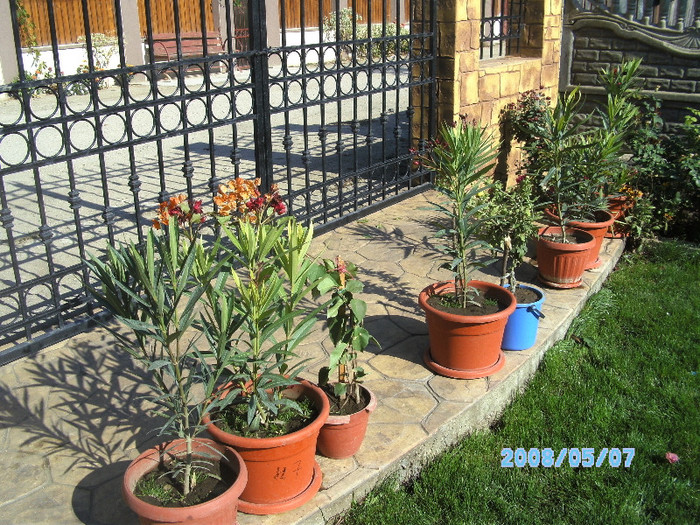 SANY0427