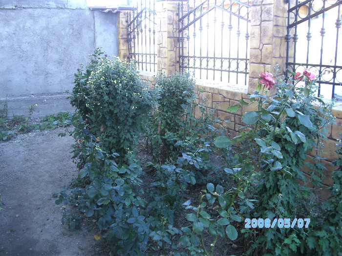 SANY0429
