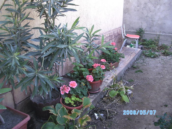 SANY0430