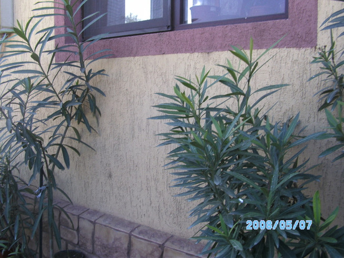 SANY0432