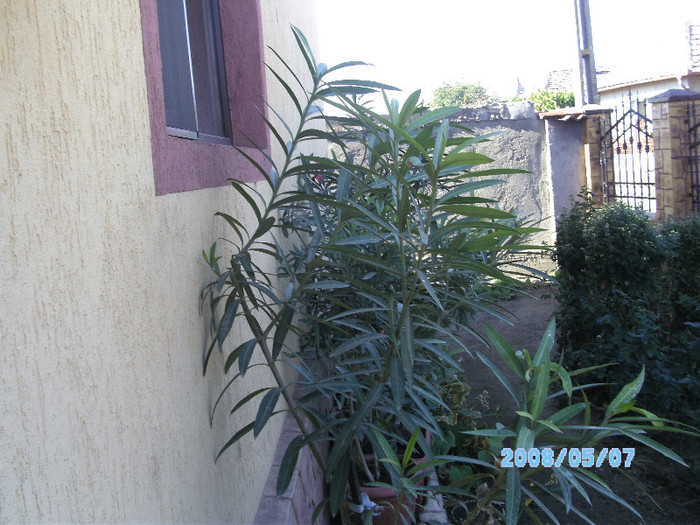 SANY0478