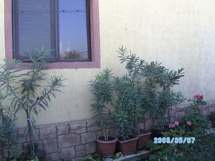 SANY0479