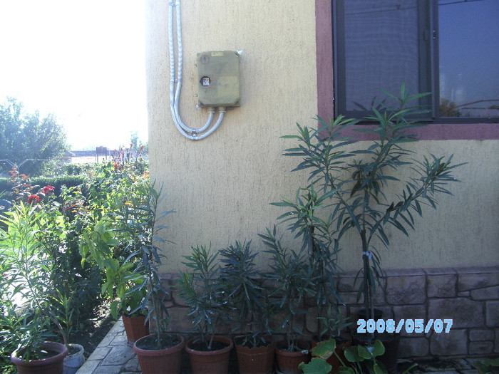SANY0480