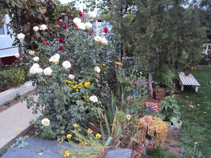 DSC01235
