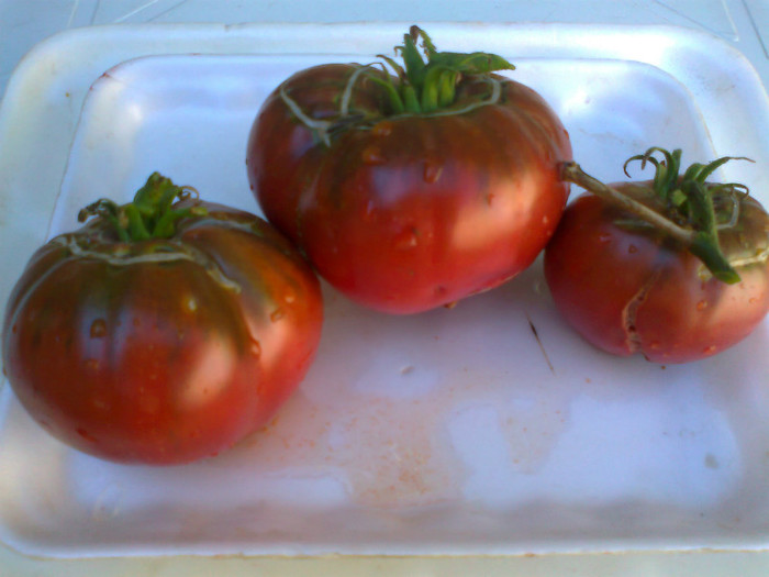 BLACK KRIM; BLACK KRIM
