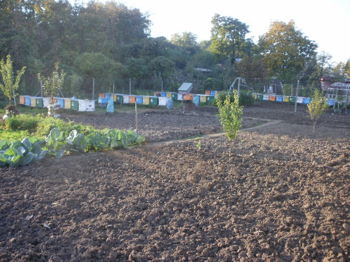 PA140253 - Vatra 10_2012