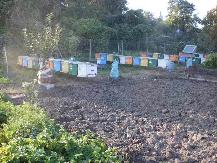 PA140257 - Vatra 10_2012